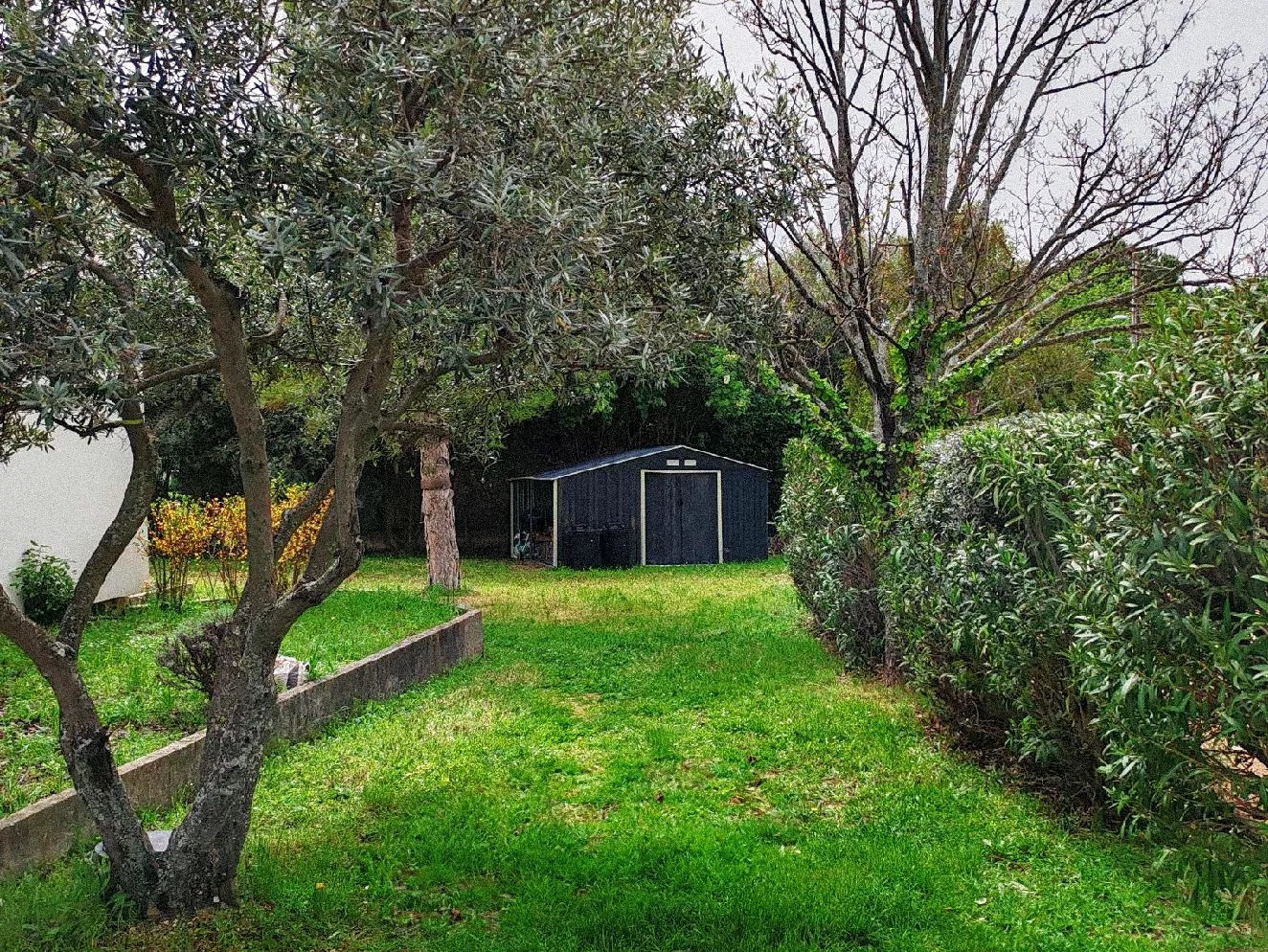 Entretien jardin (Marseille 13013)