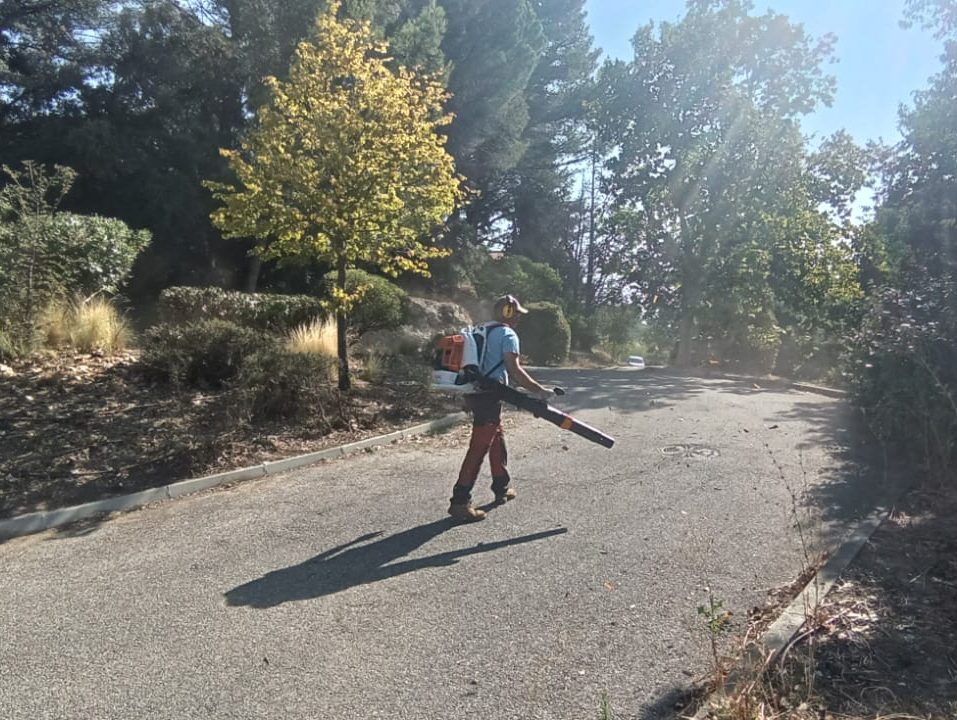 Entretien copropriété (Marseille 13011)